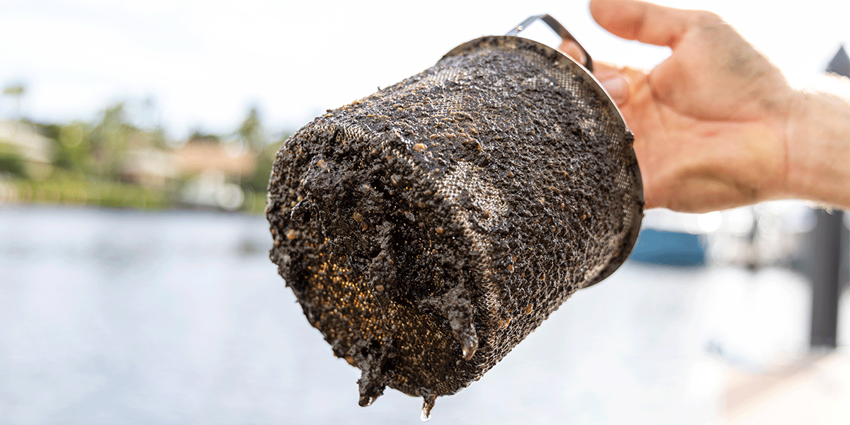 BoatTEST_ElectroSea-Promotion-Image_2-17-25