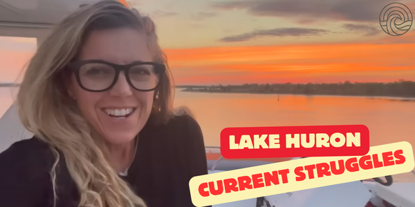 Boomershines Current Struggles