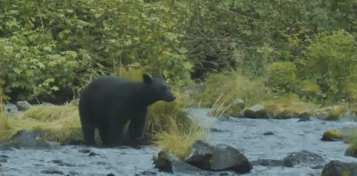 Fleming Yachts Cruising SE Alaska