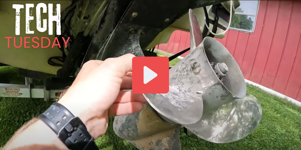 Copy of 600x300 (29)