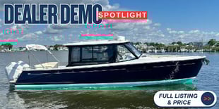 DealerDemo