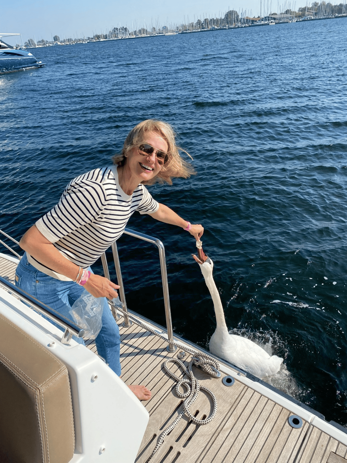 Feeding a new friend Location lake the Veerse meer the Netherlands 