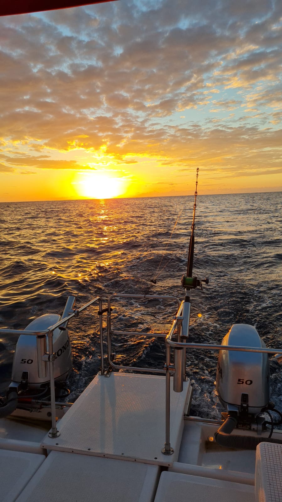 IMG-20211010-WA0001_9304_887