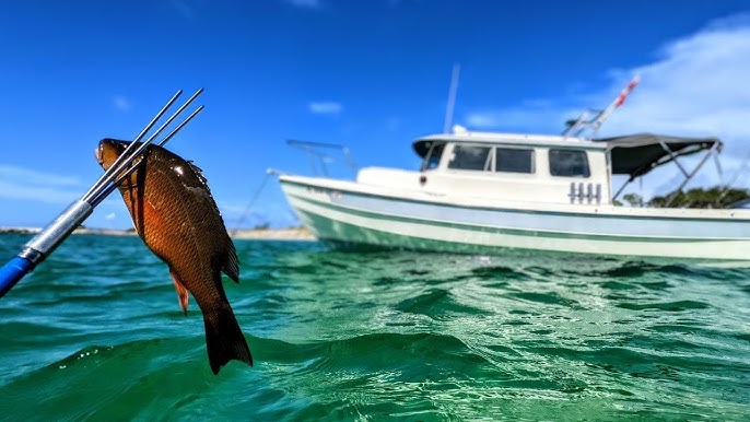 Captain Trip's Log scallop season