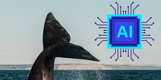 North Atlantic Right whale saved by AI