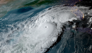 Resize Dual NL Item (13)