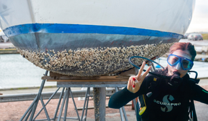 Resize Dual NL Item (3)