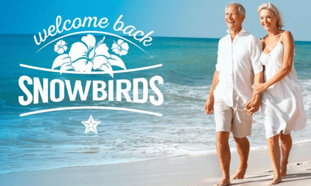 Screen Shot 2022-10-04 at 11.55.13 AM