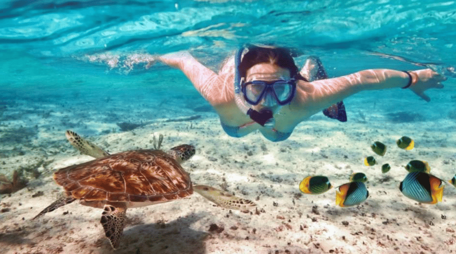 Screen Shot 2022-10-06 at 3.23.17 PM