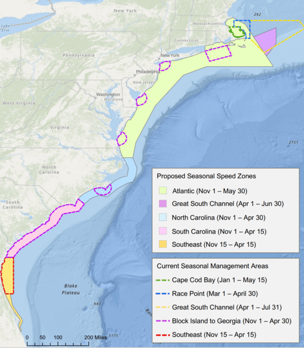 Screen Shot 2022-10-31 at 8.01.06 AM