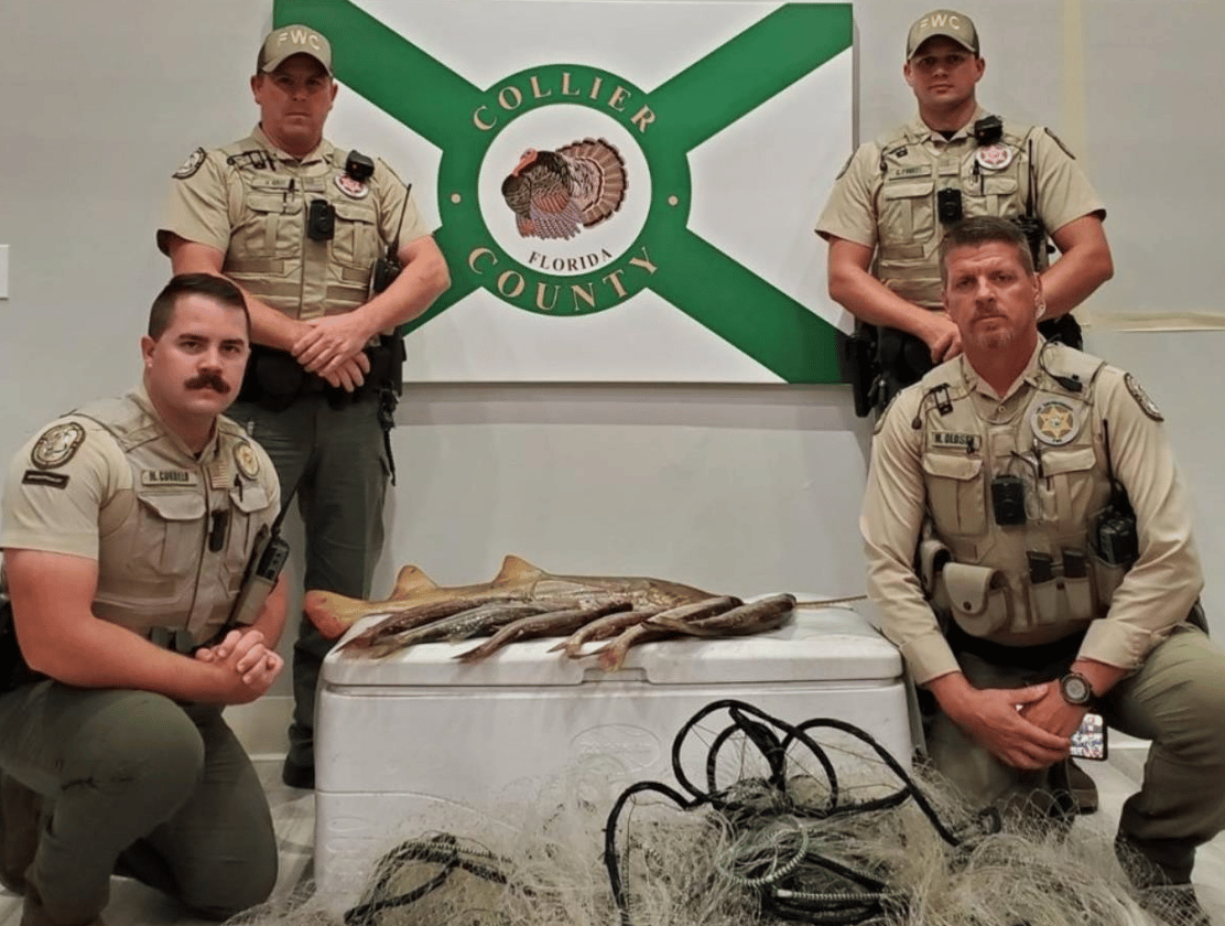 Screen Shot 2022-12-15 at 4.06.10 PM