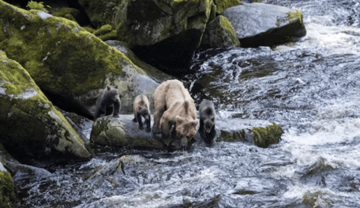 Screen Shot 2023-09-06 at 1.16.52 PM