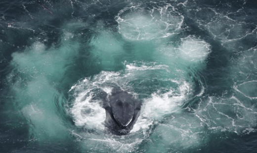 Screen Shot 2024-07-22 at 10.14.24 PM