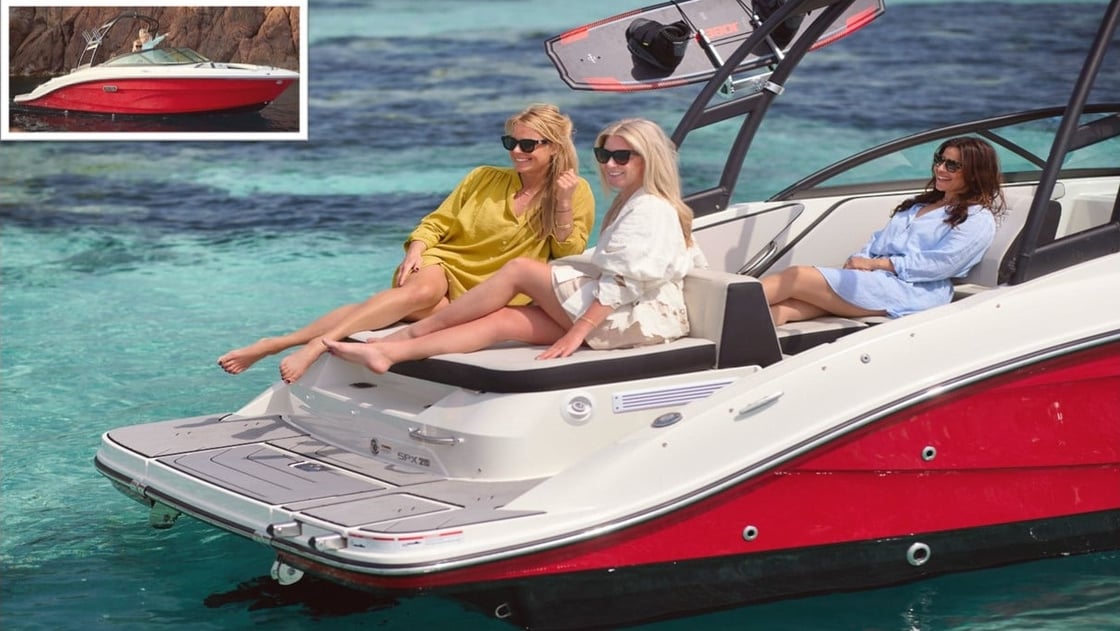 Sea Ray SPX 210 Sterndrive