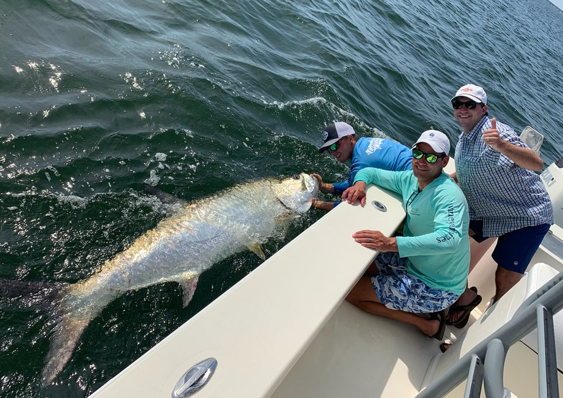 Tarpon POD