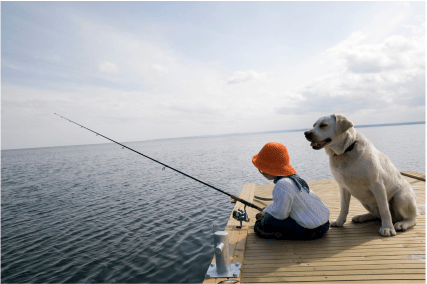 axopar-25-cross-top-thumbnail-Template-4