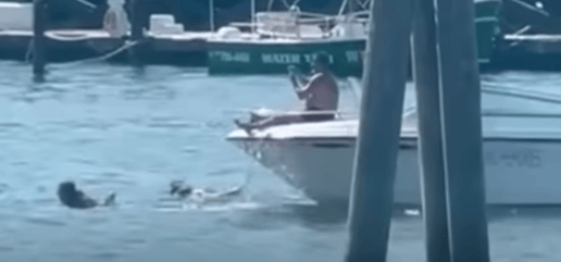 boneheaded-boaters-4