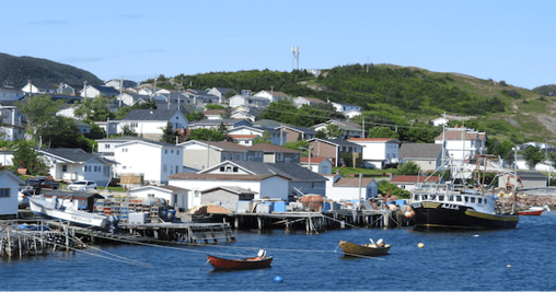 navigating-newfoundland-1