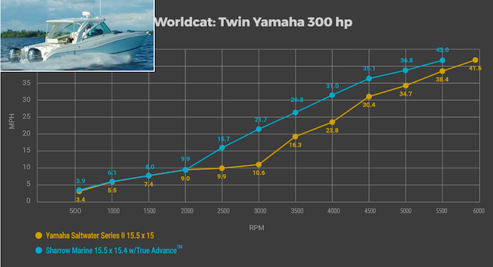 sharrow-world-cat-0824