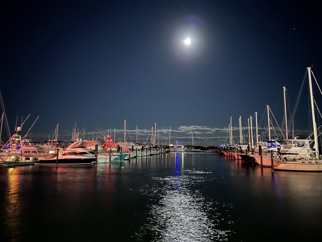 thumbnail_image0-Jan-17-2023-04-43-06-1760-PM