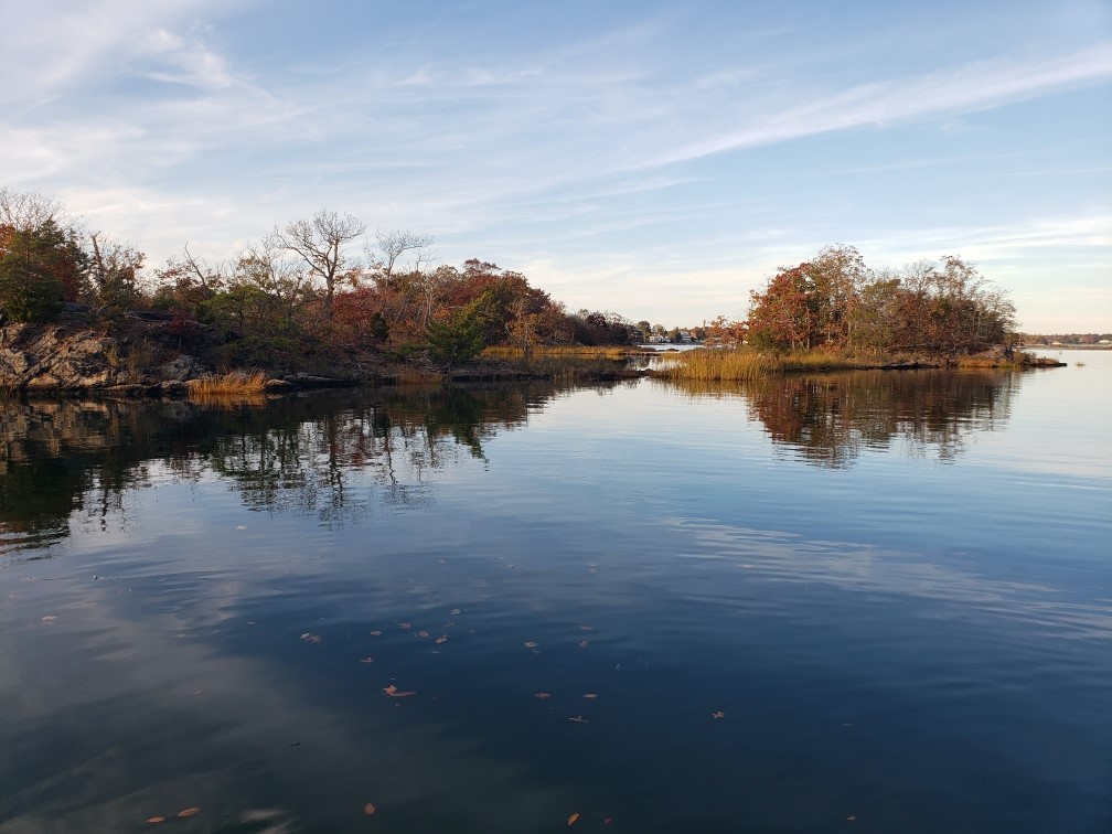 thumbnail_image0-Nov-18-2022-07-45-11-2553-PM