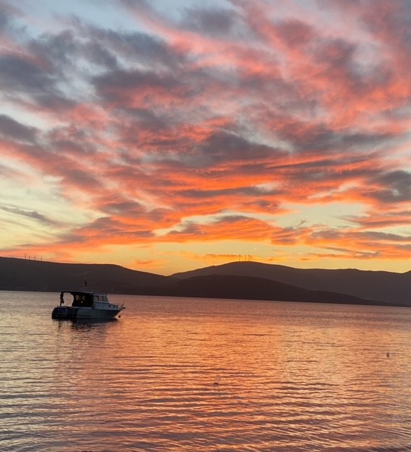 thumbnail_image0-Nov-28-2022-08-25-23-1156-PM