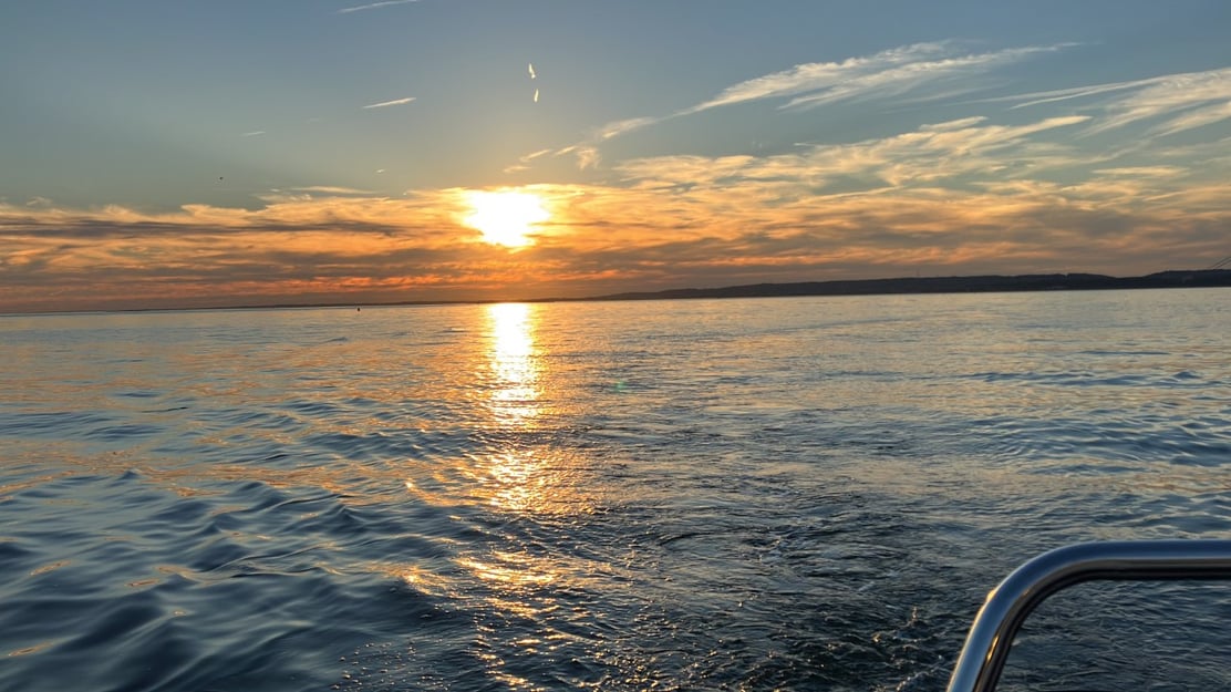 thumbnail_image0-Oct-20-2022-08-06-41-54-PM