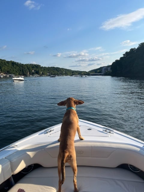 thumbnail_image001-Jan-04-2023-01-49-04-0110-PM