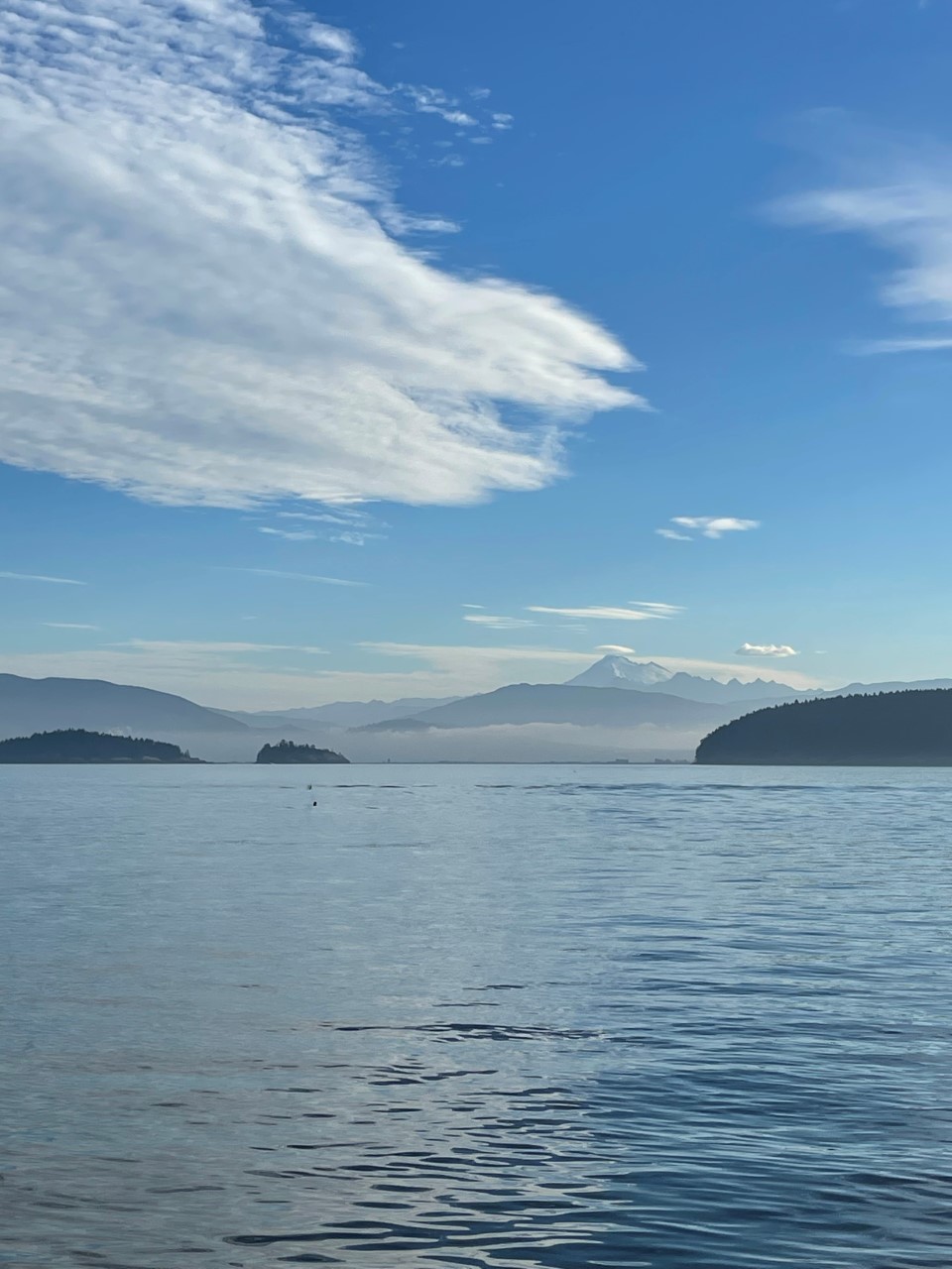 thumbnail_image001-Jan-11-2023-08-52-55-4917-PM